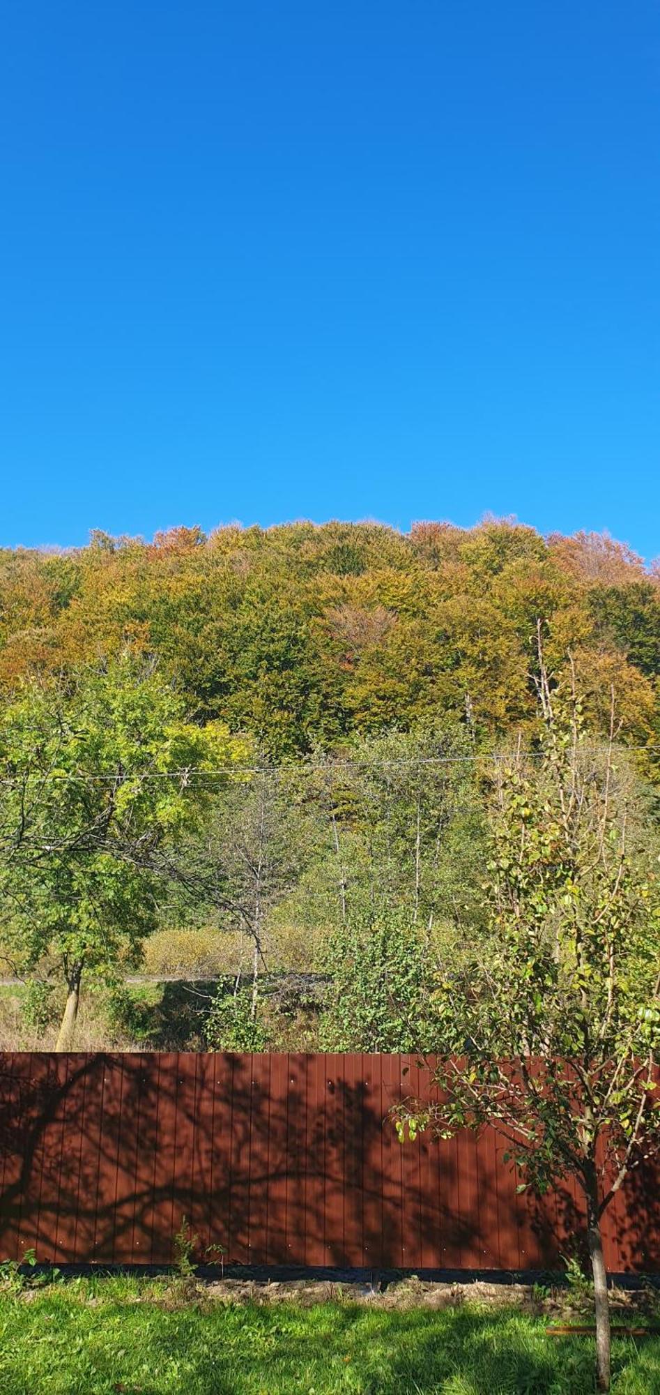 Три Горішки Daire Yaremche Dış mekan fotoğraf